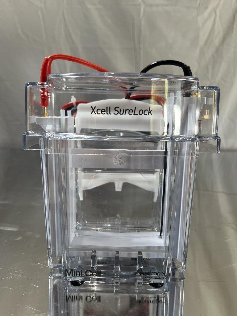 Invitrogen EI0001 XCell SureLock Electrophoresis Mini Cell Excellent Condition